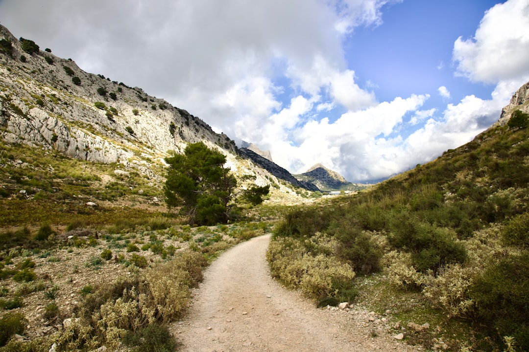 Rutas de senderismo