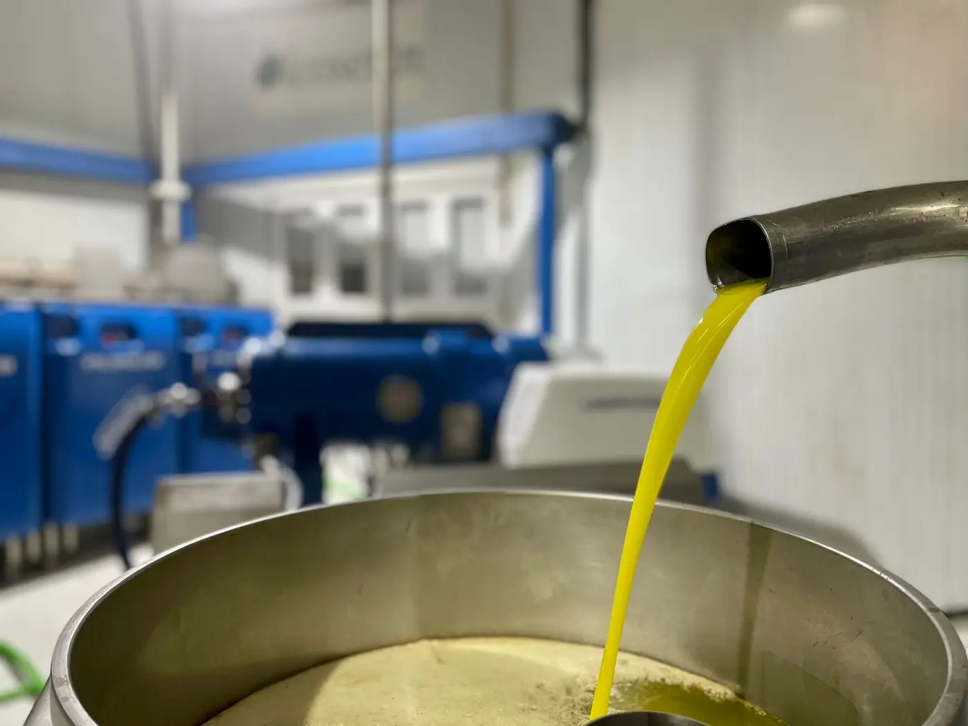 El primer aceite de la campaña